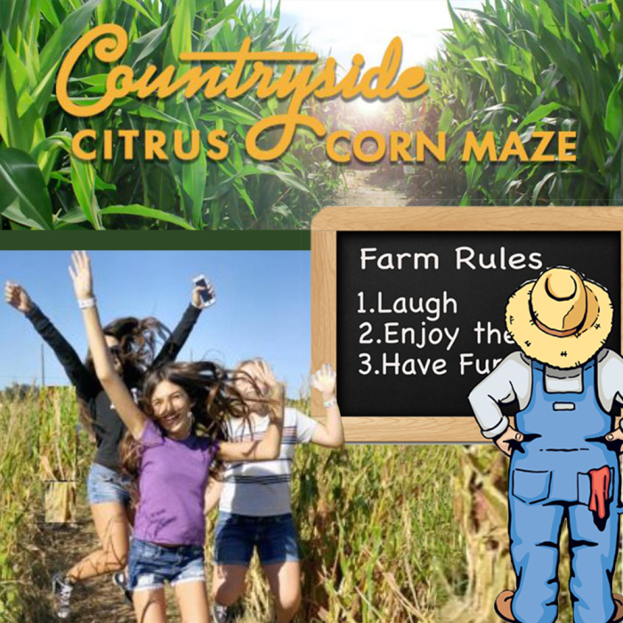 Fall Festival & Maze Rules