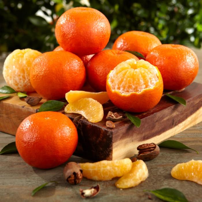 Florida Oranges