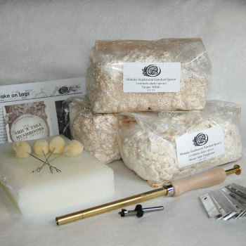 Shiitake 3-Season Collection - Sawdust Kit