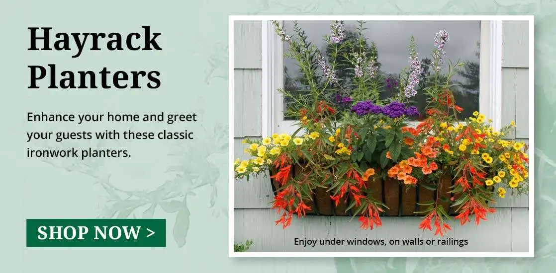 Hayrack Planters