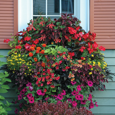  30 Inch Window Box Planter & Liner Set