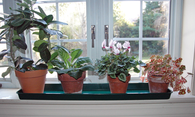 Large Windowsill Tray