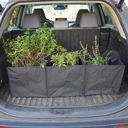 Car Trunk Tidy