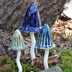 Magical Mushrooms