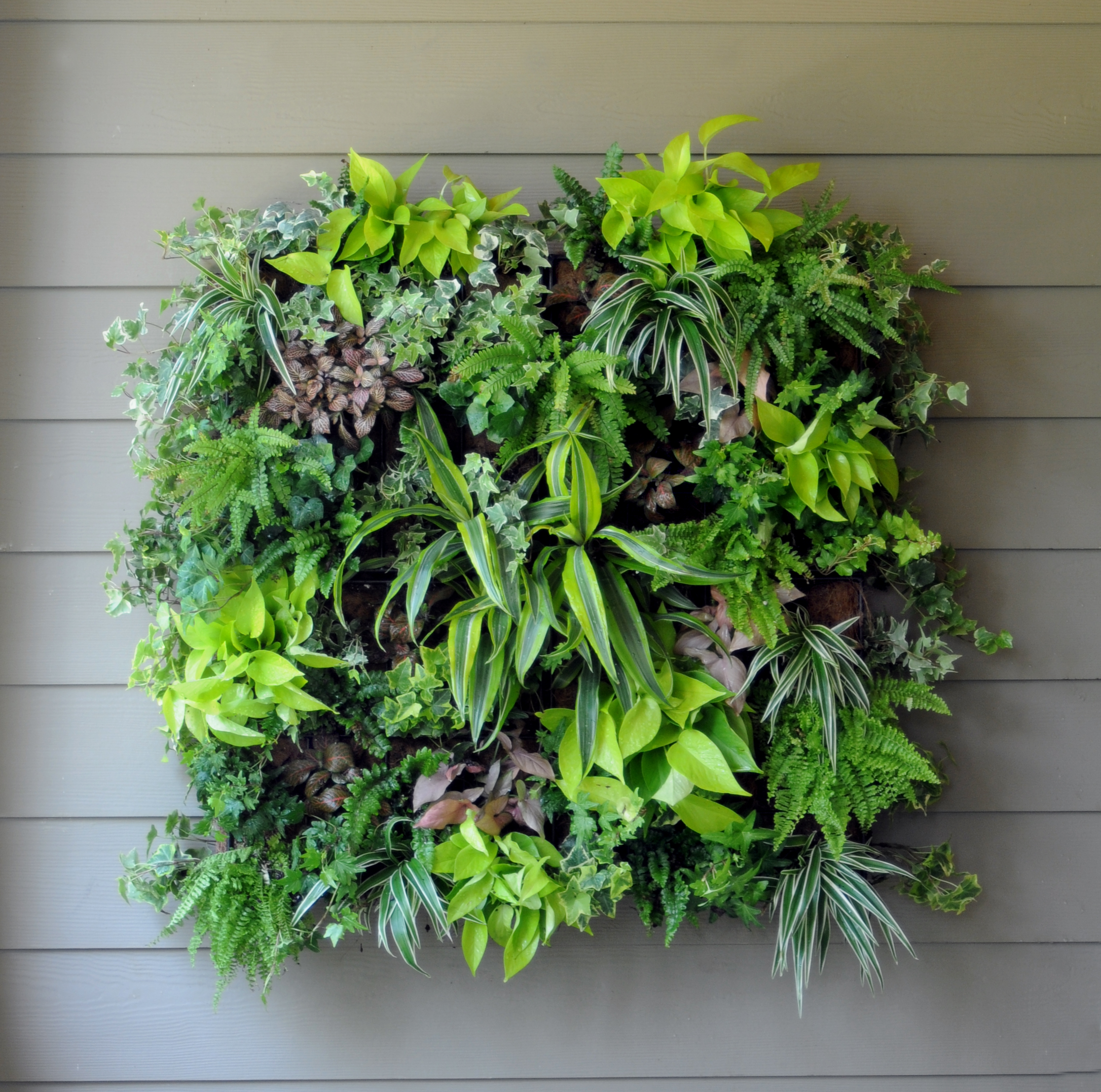 Pamela Crawford Living Wall Planter w/ Liner