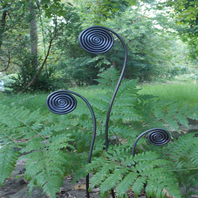 Fiddleheads (1 small, 1 medium & 1 large)