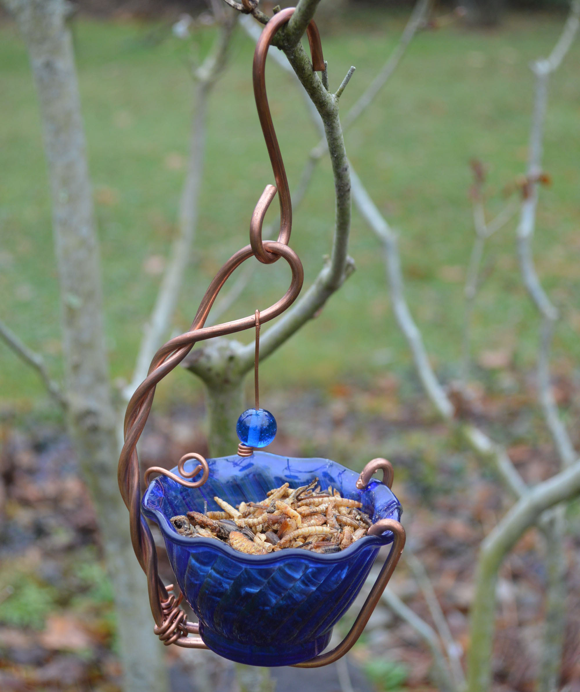 Bluebird Mealworm Feeder