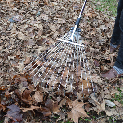 Darlac  Leaf Rake - Telescopic and Expandable