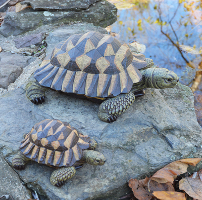 Large Brown Resin Tortoise