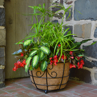 17 Inch Patio Planter w/Coco Fiber Liner