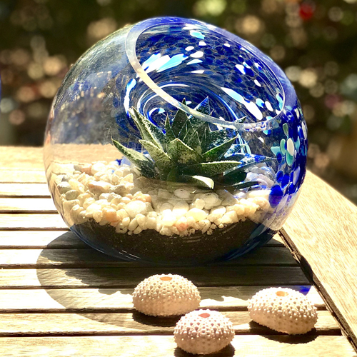 7 Inch Hand Blown Art Glass Terrarium