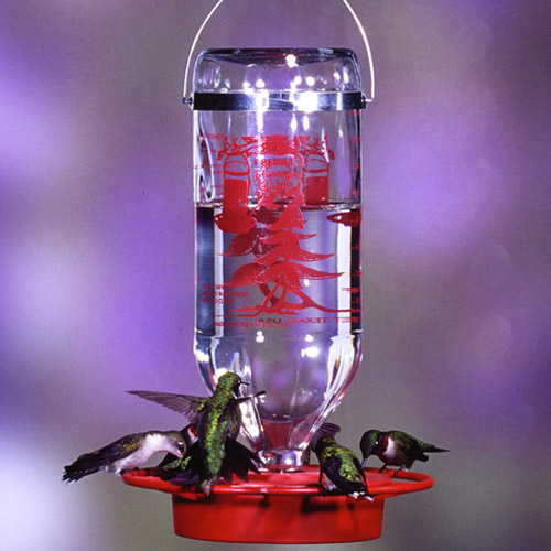 Large (32 oz.) Hummingbird Feeder