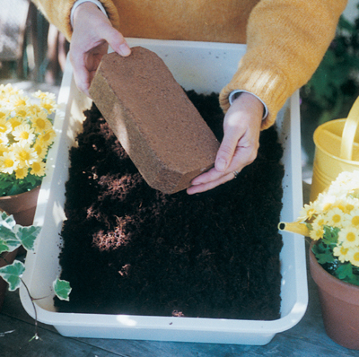 Coco Fiber Bricks