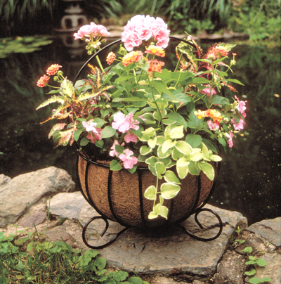 Cauldron Planters