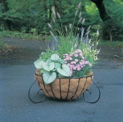 Bowl Garden