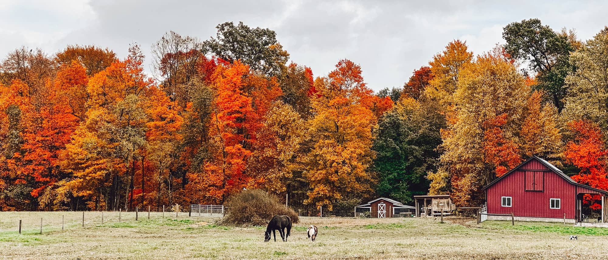 The best time to visit Amish Country in in the fall when the temperatures are cool and the leaves are beautiful.