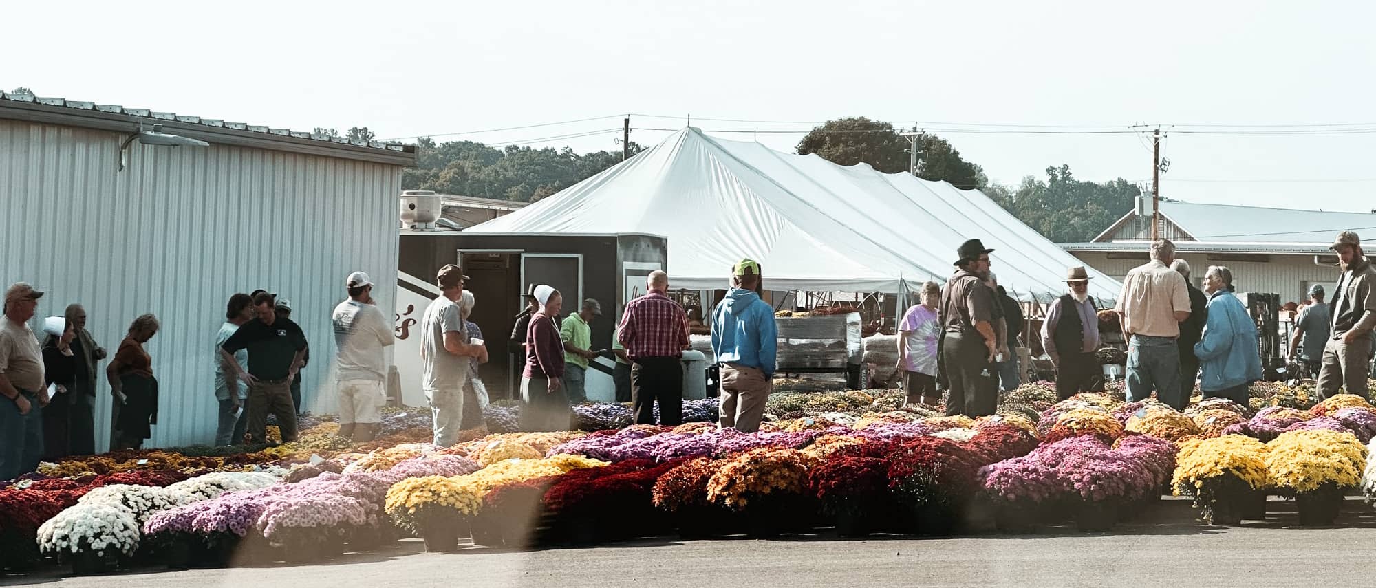 Locally gorwn produce and flowers are popular in Amish County