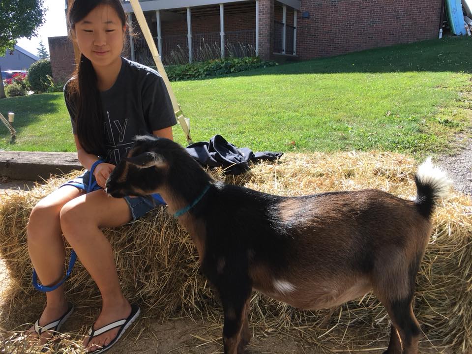 Girl with a Goat