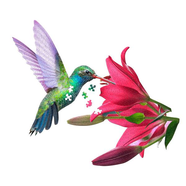 Shaped Jigsaw Puzzle - Hummingbird - 300pcs