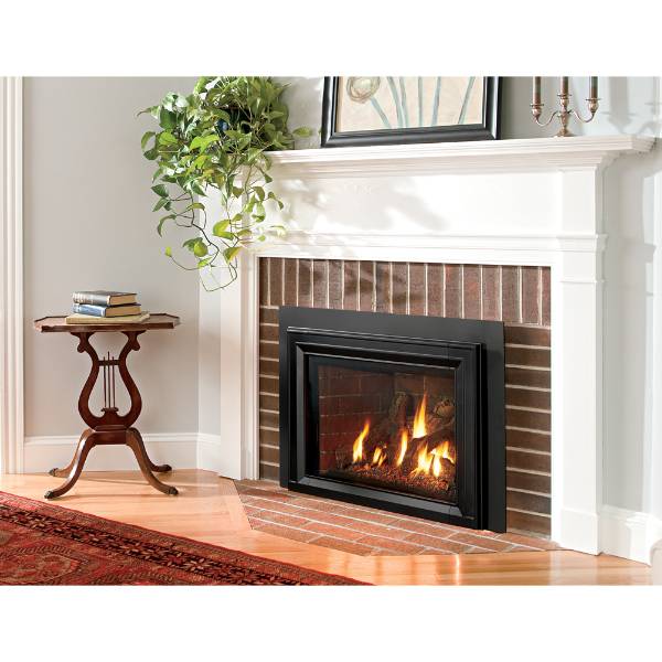 Jotul GI 535 DV IPI New Harbor Gas Insert