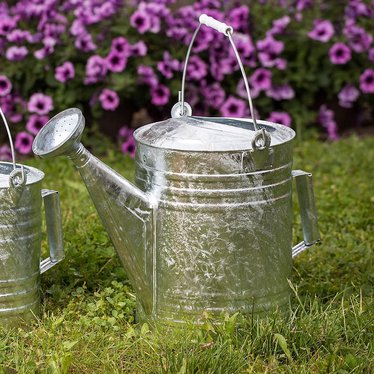 Large Galvanized Watering Can