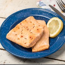 Freeze-Dried Salmon Fillets