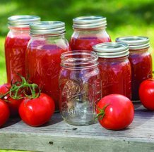 Ball Regular-Mouth Canning Jars (12)