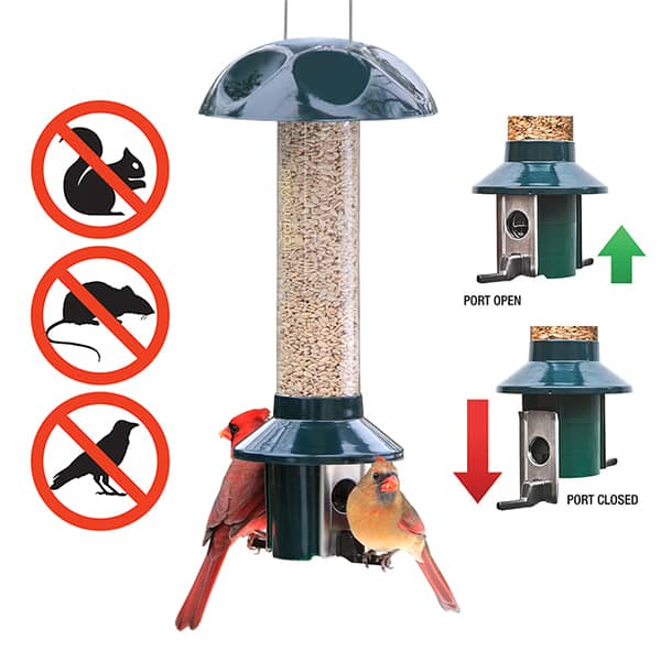 Roamwild PestOff Mixed Seed/Sunflower Feeder