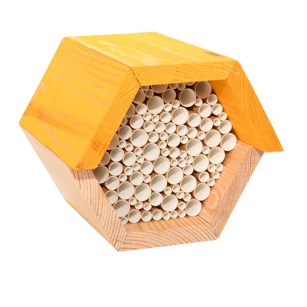 Hexagonal Bee House