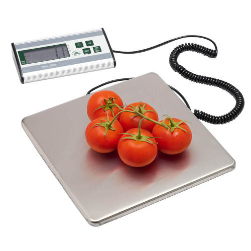 330 lb. Stainless Steel Digital Scale