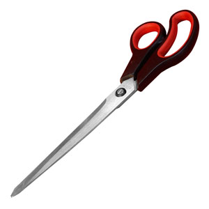 10" Scissors