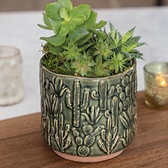 Product Image of Saguaro Succulent Planter