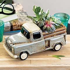 Product Image of Ceramic Truck Succulent