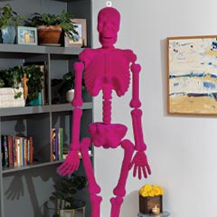 Product Image of Haute Pink Skeleton