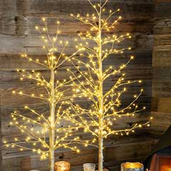 Product Image of Golden Lit Trees