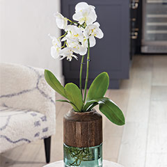 Product Image of Contemporary Wood & Glass Vase