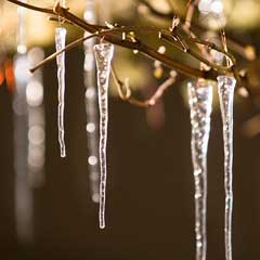 Twenty Nordic Icicle Ornaments