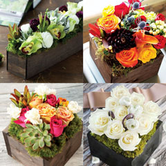 Product Image of Floral of the Month Club