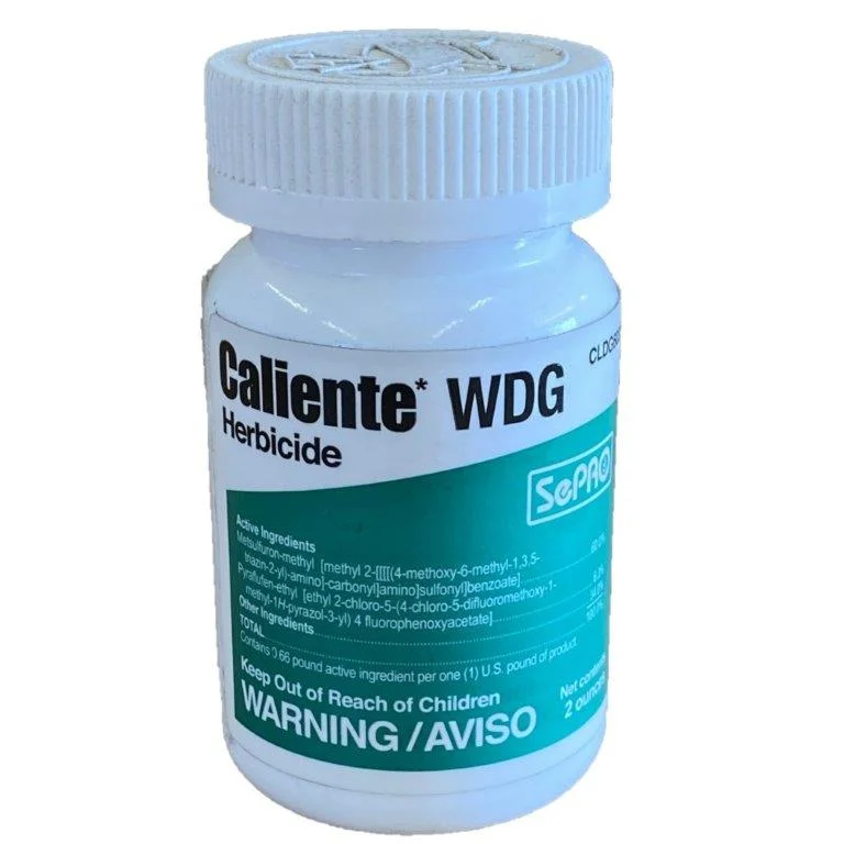 Caliente WDG 2oz