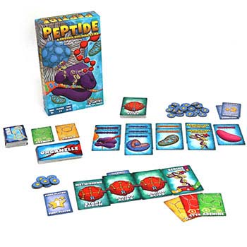 Peptide: A Protein Building Game