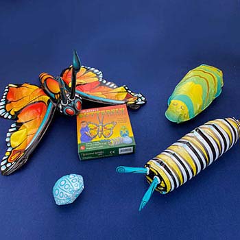 Inflatable Butterfly Life Cycle