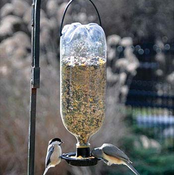 Soda Bottle Bird Feeder