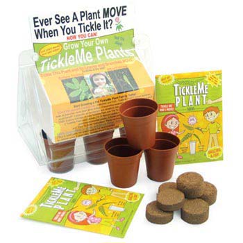 TickleMePlants™ - TickleMe Plant Greenhouse Kit