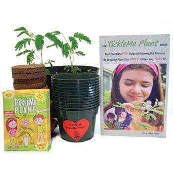 TickleMePlant™ Classroom Kit