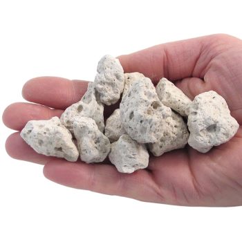 Pumice Samples - Pumice Samples - 25 Pack