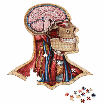 Dr. Livingston's Anatomy Jigsaw Puzzles - Anatomy Jigsaw Puzzle: Head