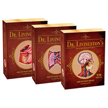 Anatomy Jigsaw Puzzles - Set of 3 (Head, Thorax, and Abdomen)