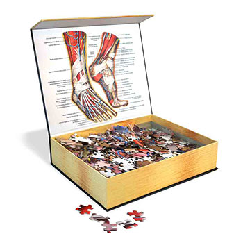 Anatomy Jigsaw Puzzle: Feet