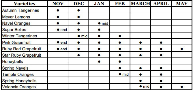 Availability Calendar