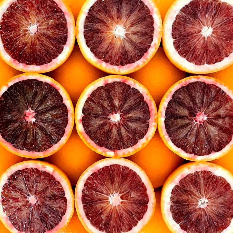 16 Blood Oranges